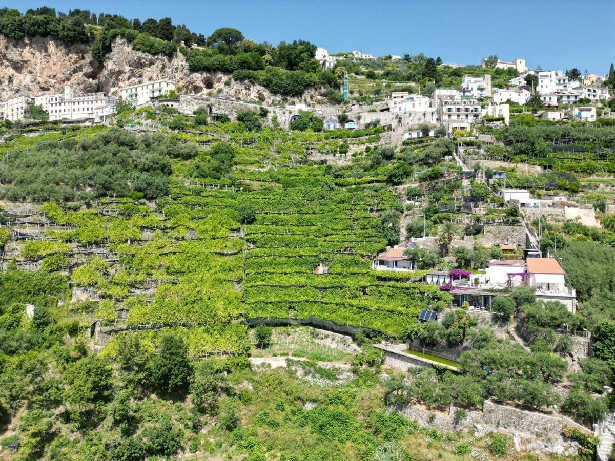 B&B I Limoni Ravello Exterior photo