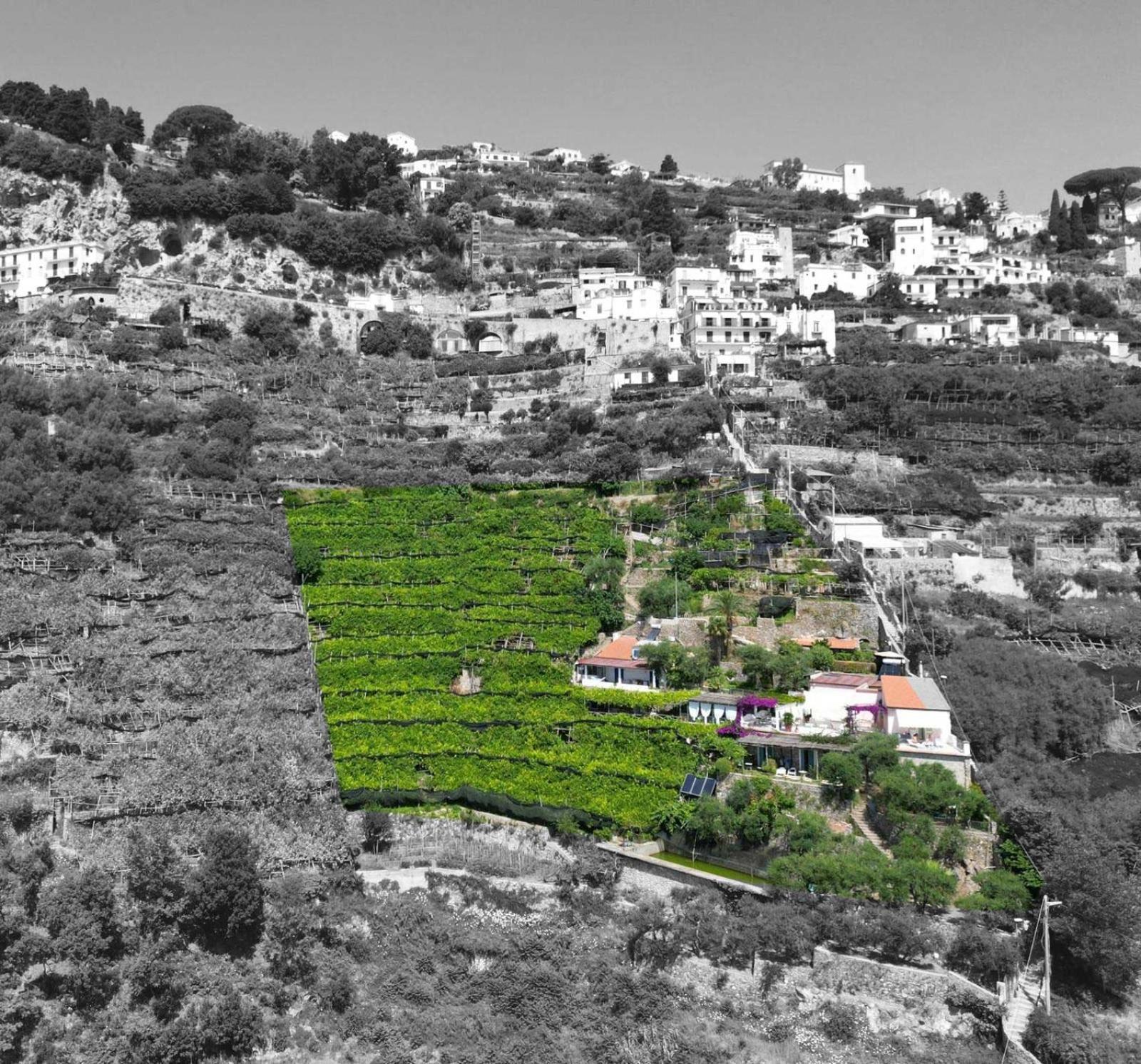 B&B I Limoni Ravello Exterior photo