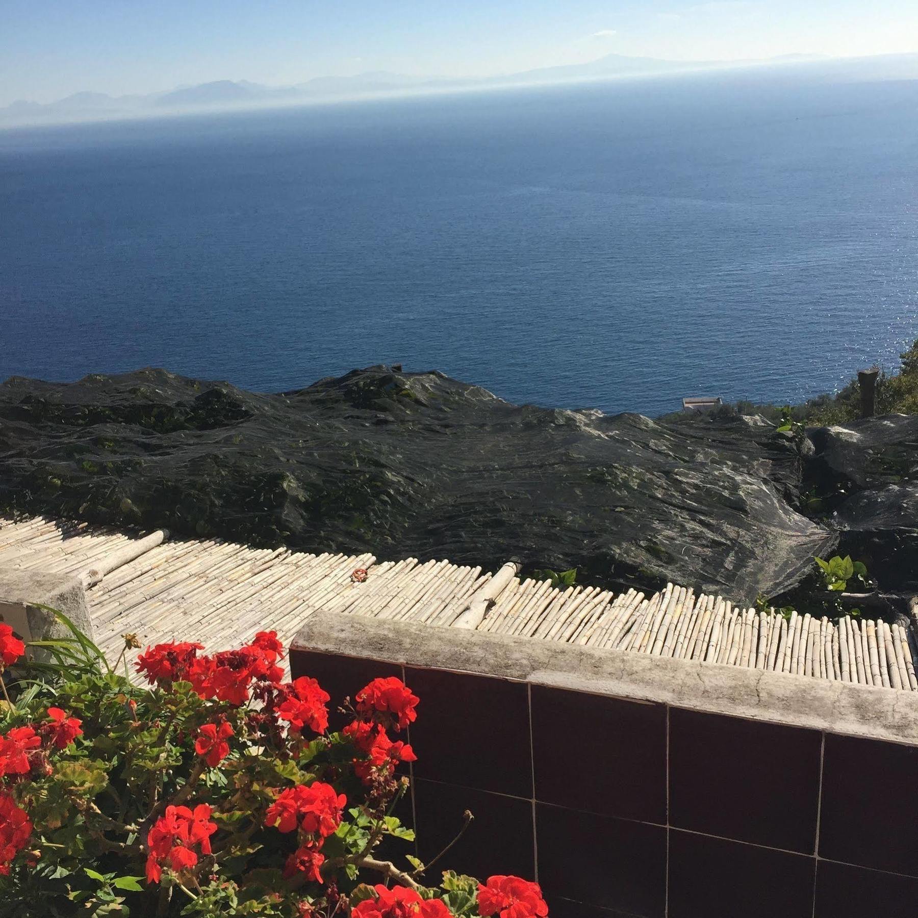 B&B I Limoni Ravello Exterior photo