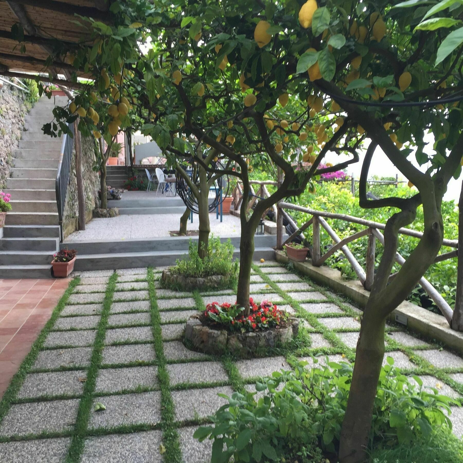 B&B I Limoni Ravello Exterior photo